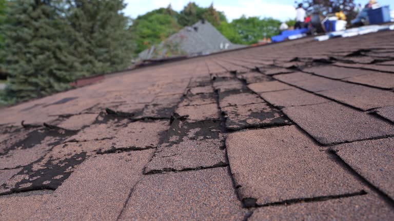 Best Roof Moss and Algae Removal  in Prairie Grove, IL