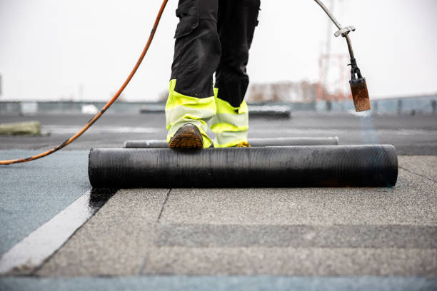 Best Chimney Flashing Repair  in Prairie Grove, IL
