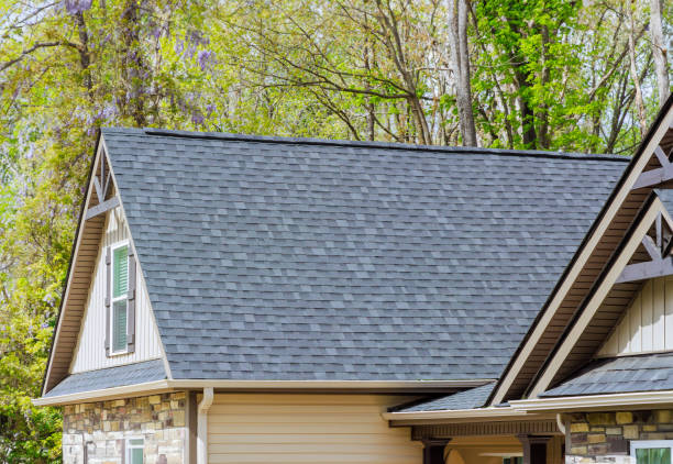 Best Roof Insulation Installation  in Prairie Grove, IL