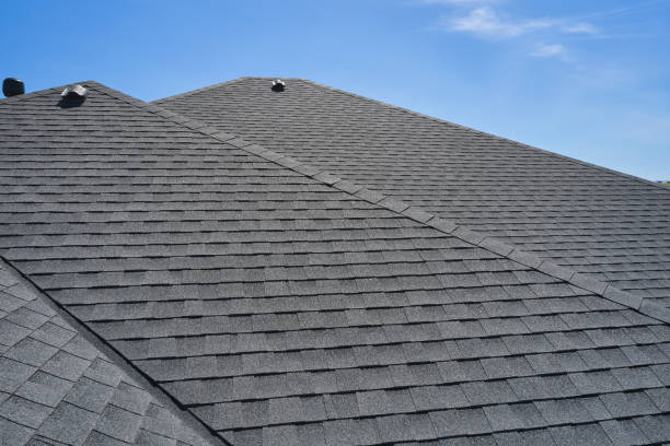 Best Roof Coating and Sealing  in Prairie Grove, IL